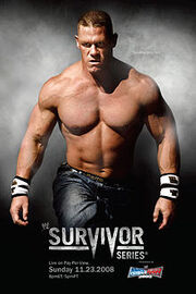 Survivor Series 2008.jpg