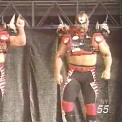 Road Warriors - Legion of Doom | Wrestlepedia Wiki | Fandom