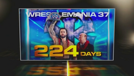 Roman Reigns 1000 Days (3)