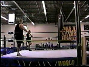 WCW Power Plant.jpg
