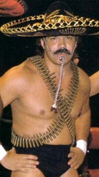 Mando Guerrero.jpg
