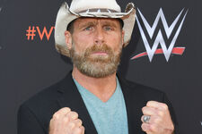 Shawn Michaels 11