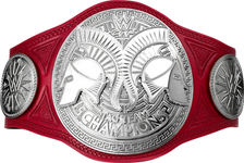 Raw Tag Team Championship 2017