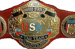 WCW United States Tag Team Championship Wrestlepedia Wiki Fandom