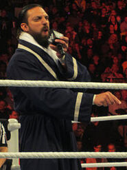 WWE Damian Sandow