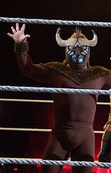 WWE El Torito.jpg