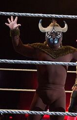 WWE El Torito