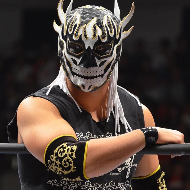 El Desperado, Puroresu System Wiki