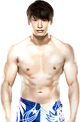 Kota Ibushi