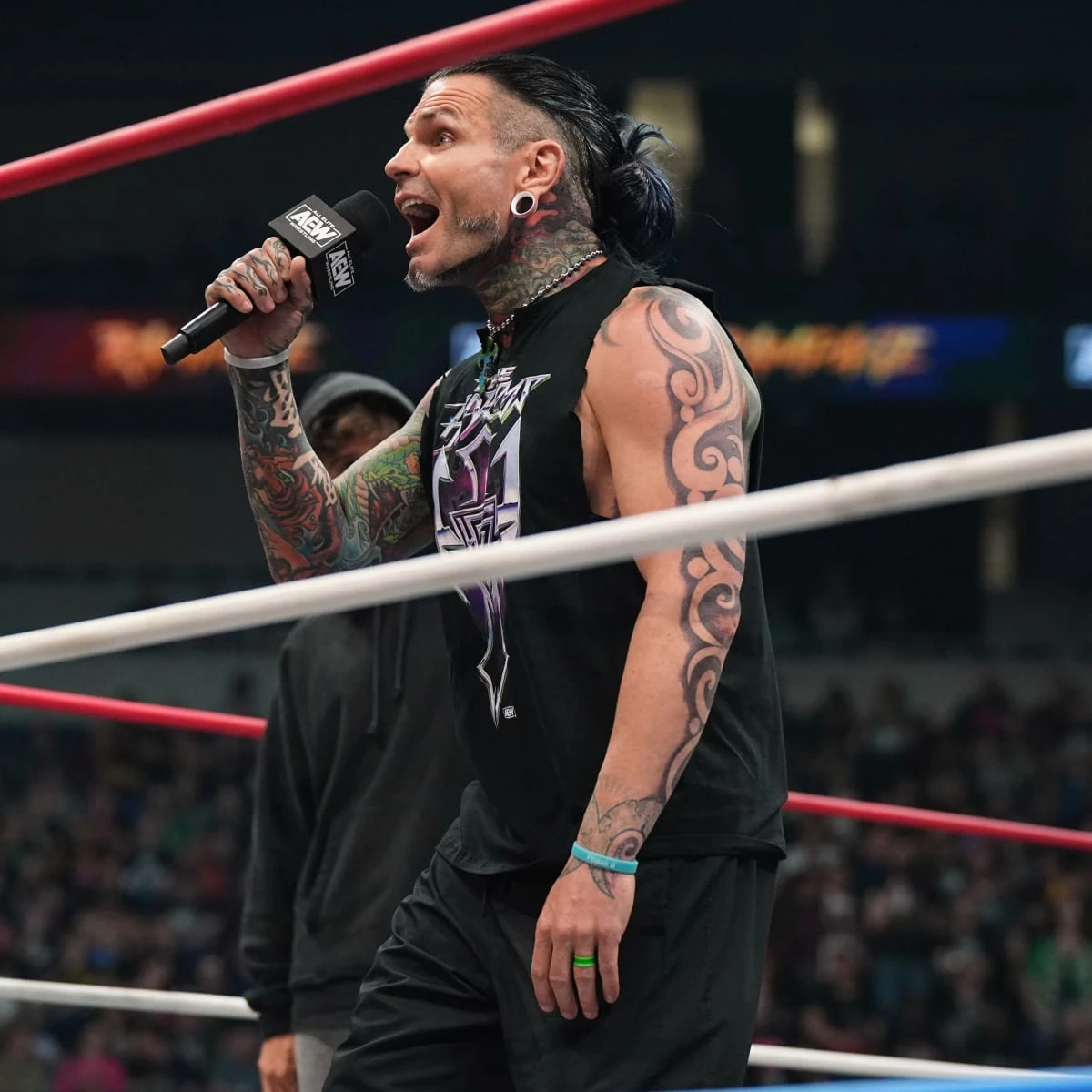 Jeff Hardy | GreshDigiGames Wiki | Fandom, image size:1200x1200