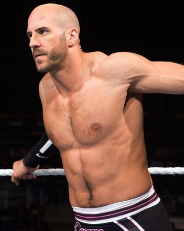 Cesaro Wrestling Jat Wiki Fandom