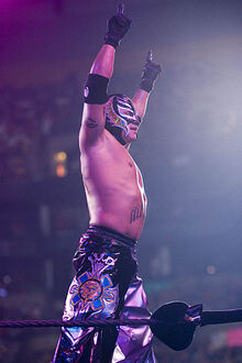 Rey-Mysterio-wwe-02