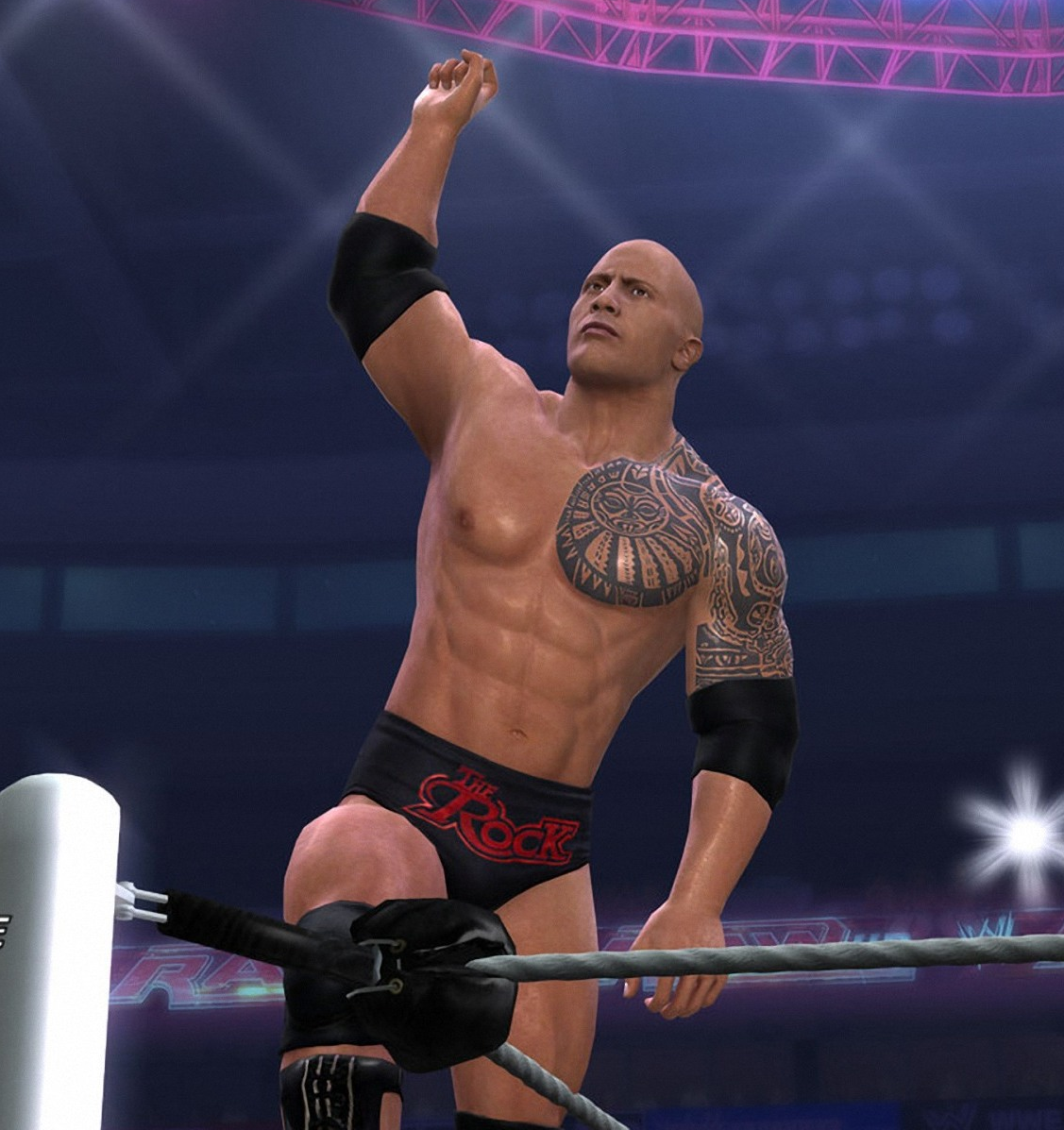 The Rock, Pro Wrestling