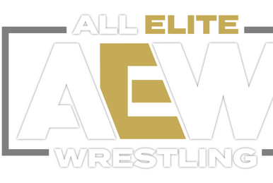 #333 ALL ELITE WRESTLING AEW HOOK W/ TAZ FTW CHAMPION A4 A3 POSTER 