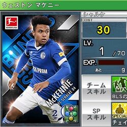 World Soccer Collection S Badge Wiki Fandom World Soccer Collection S Badge Wiki Fandom