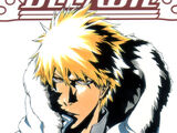 Bleach Chapters 424 – current