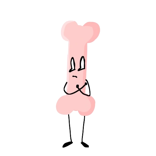 Boney | Whats The Definition Of Object Official Wiki! Wiki | Fandom