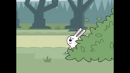 408 A Wild Bunny Appears 2