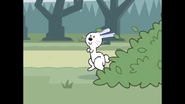 409 A Wild Bunny Appears 3