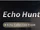Echo Hunters