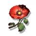 Belle Poppy