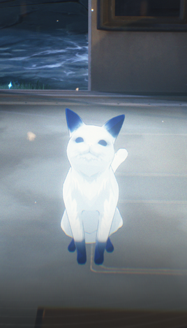 NPC Strange White Cat