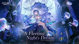 A Fleeting Night's Dream