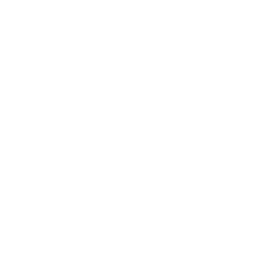 Startorch Academy Emblem