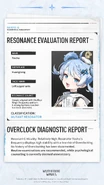 Evaluation Report