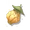 Bittberry