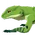 Green Pit Lizard