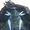 Bell-Borne Geochelone