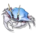 Bell Crab