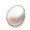 Bird Egg