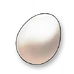 Bird Egg