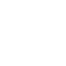 Rinascita Chapter