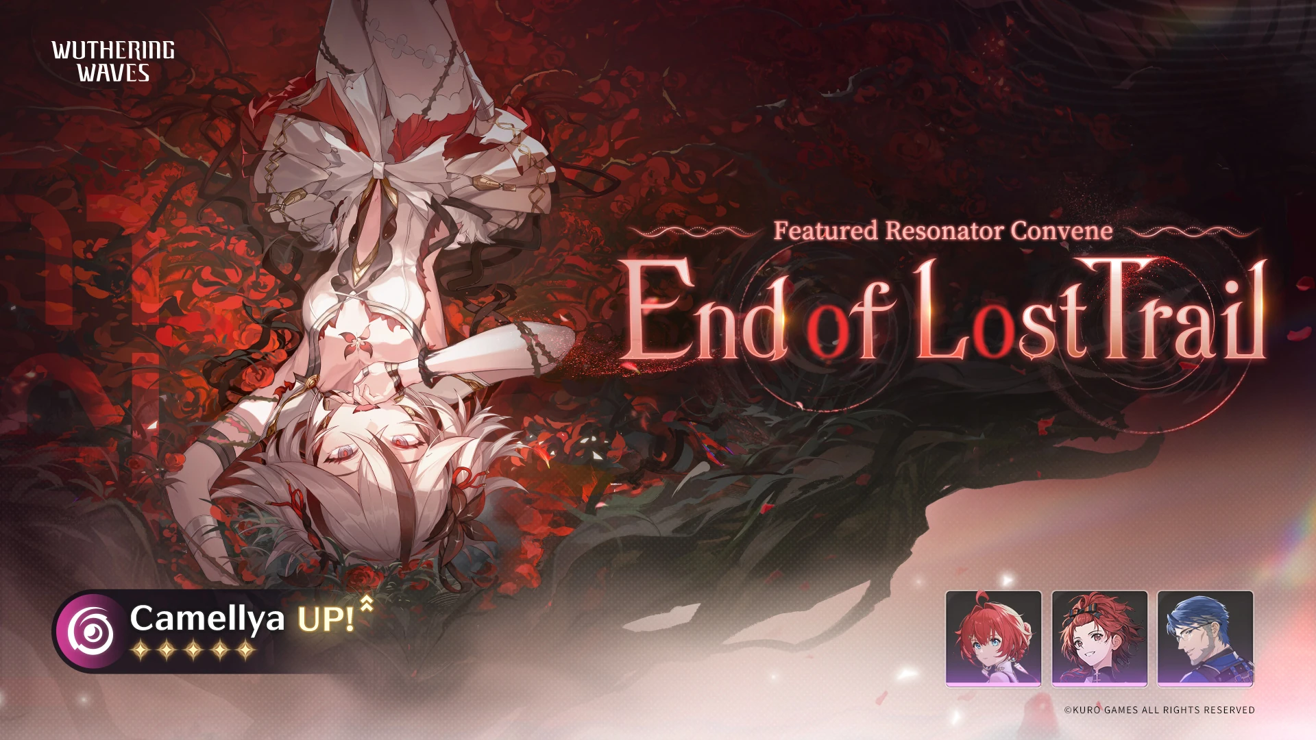 ヤン・ドゥイッチ エコールヴァローナ maxresdefault.jpg