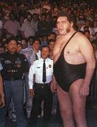 André the Giant, único introducido en 1993.