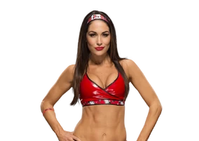 Brie Bella Bainise Brie Bella Latest News, Views, Gossip, Photos And