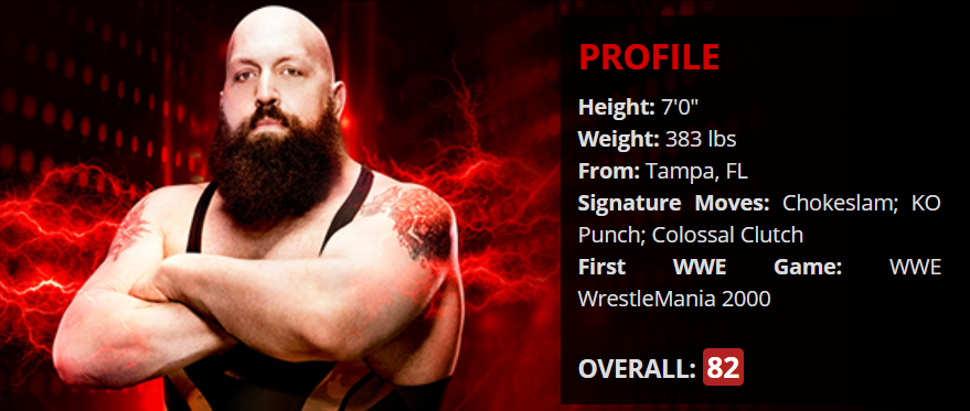 Big Show, The Big Show Show Wiki