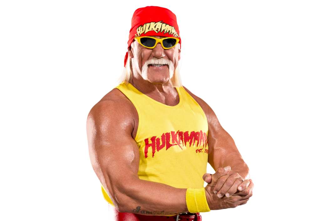 hulk hogan vs great khali