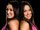 The Bella Twins