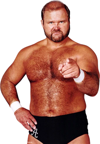 arn anderson