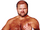 Arn Anderson