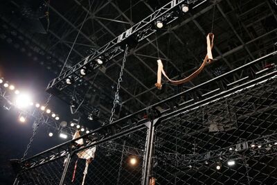 Asylum Match