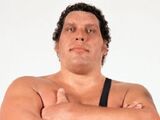 Andre The Giant