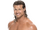 Dolph Ziggler