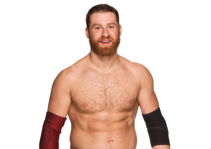 Sami Zayn