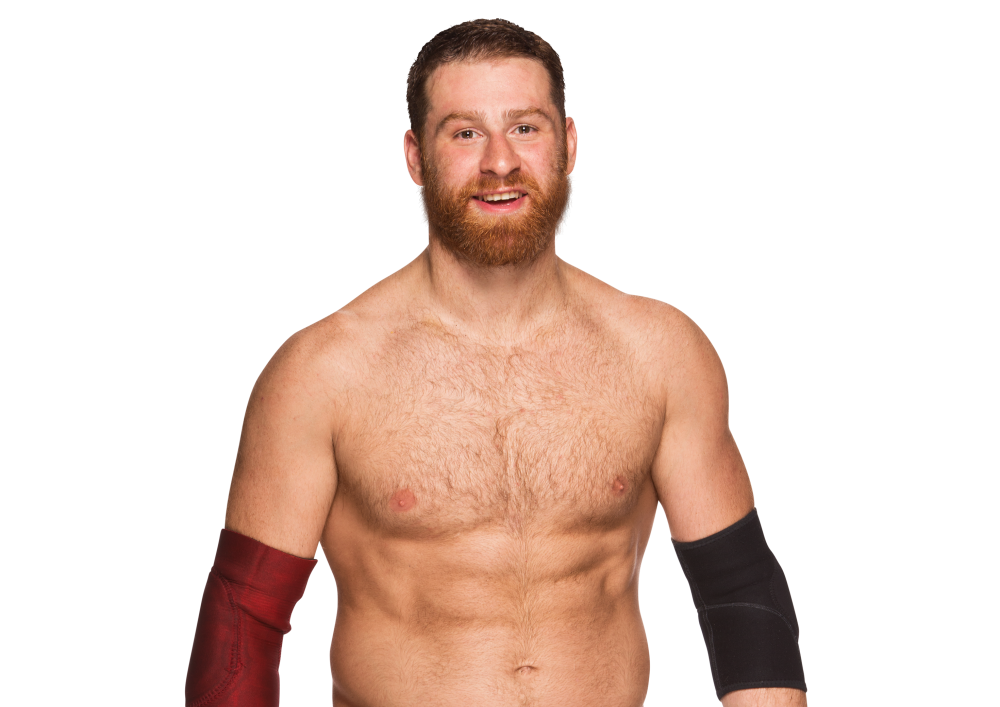 sami zayn