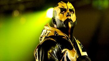 Goldust 2014